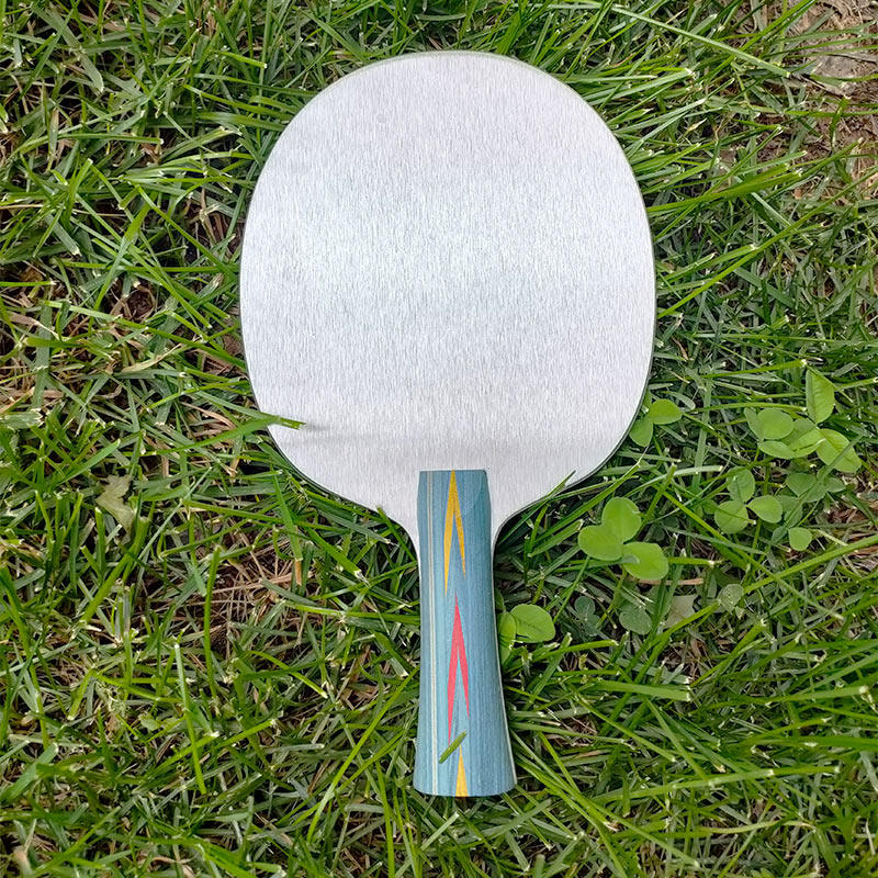 Tischtennis-Grundplatte aus Al – Allsports Equipment Bewertung und Preis